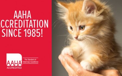 AAHA Accreditation Since 1985!