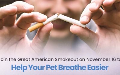 Join the Great American Smokeout on November 16 to Help Your Pet Breathe Easier