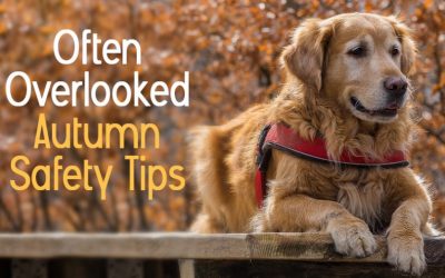 Often Overlooked Autumn Safety Tips