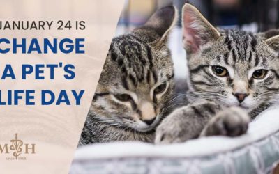 January 24 is Change a Pet’s Life Day