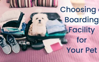 Choosing a Boarding Facility for Your Pet