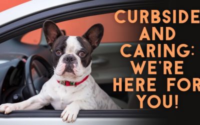 Curbside & Caring: We’re Here for You!