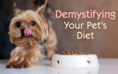 Demystifying Your Pet's Diet