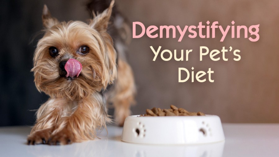 Demystifying Your Pet's Diet
