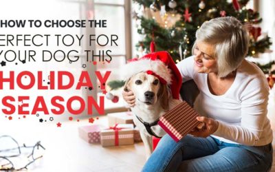 How to Choose the Perfect Toy for Your Dog This Holiday Season