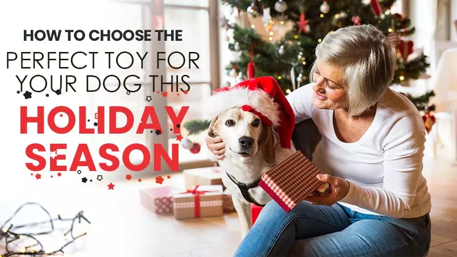 How to Choose the Perfect Toy for Your Dog This Holiday Season