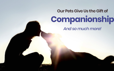 Our Pets Give Us the Gift of Companionship and So Much More!