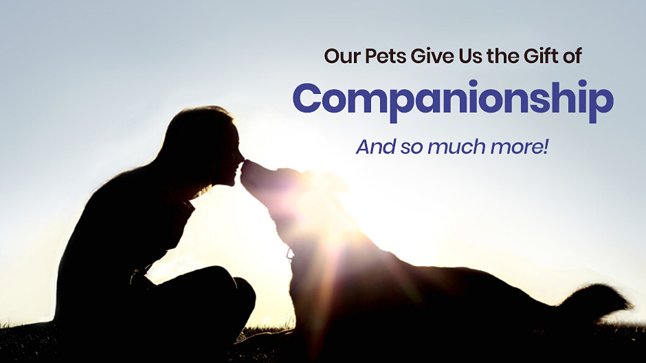 Our Pets Give Us the Gift of Companionship and So Much More!