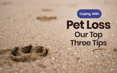 Coping With Pet Loss: Our Top Three Tips