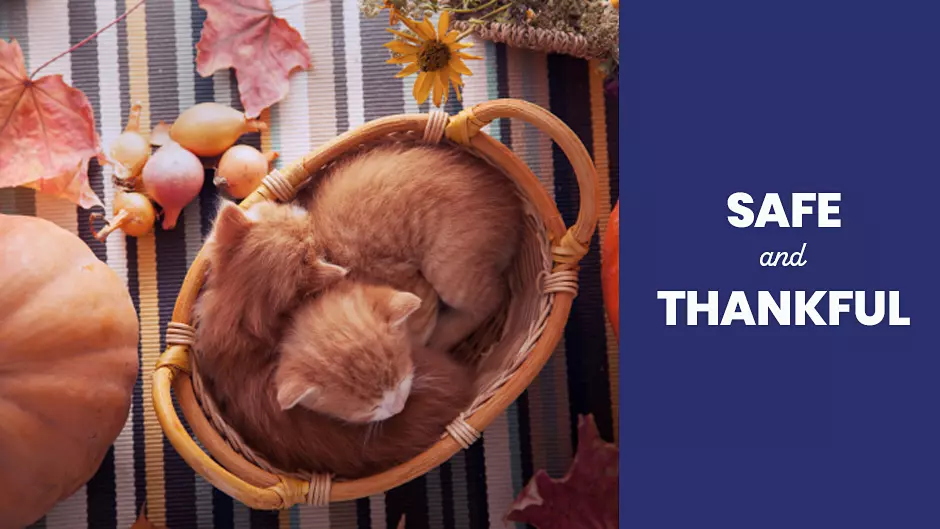 Safe and Thankful