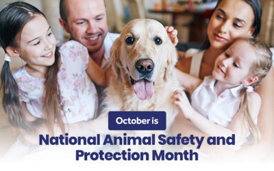 October is National Animal Safety and Protection Month