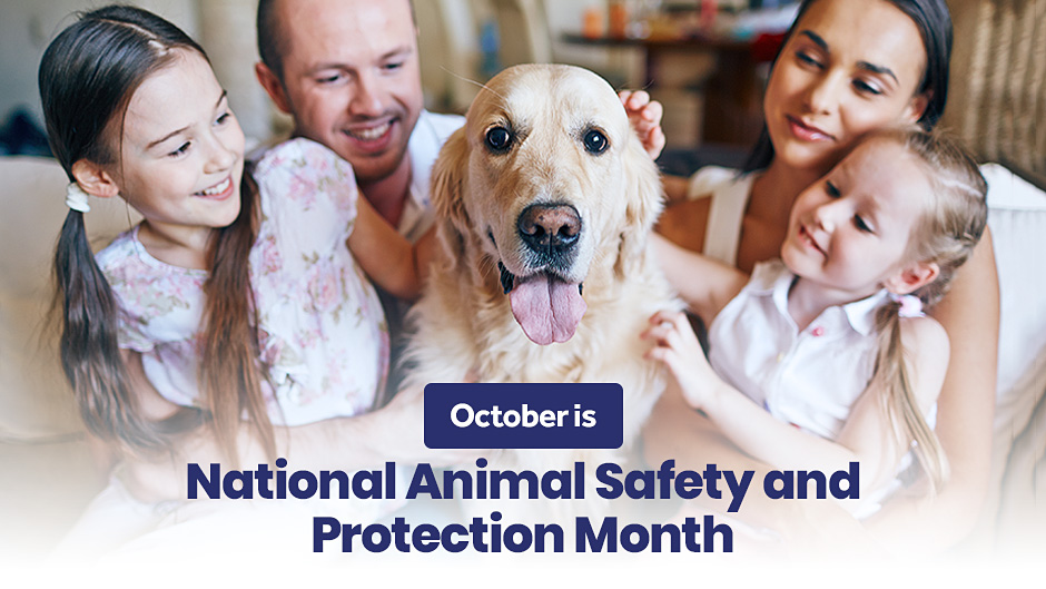 October is National Animal Safety and Protection Month