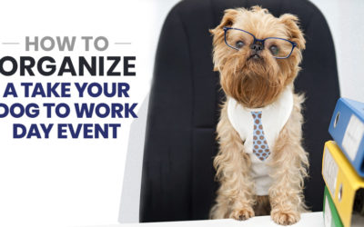 How to Organize a Take Your Dog to Work Day Event