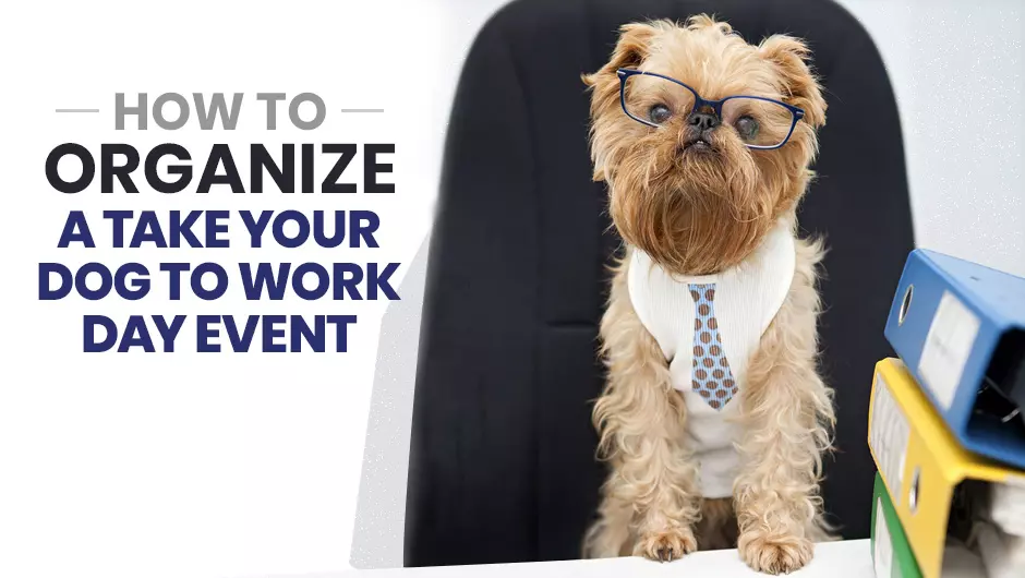 How to Organize a Take Your Dog to Work Day Event