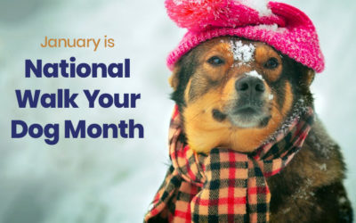 January is National Walk Your Dog Month