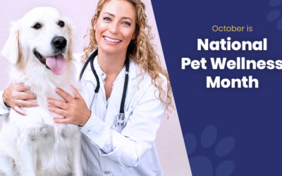 October is National Pet Wellness Month