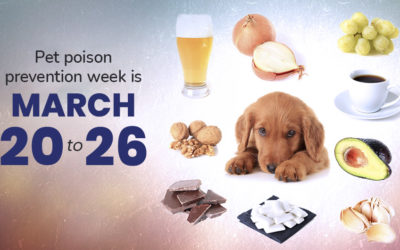 Pet Poison Prevention Week