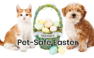 Tips for a Pet-Safe Easter