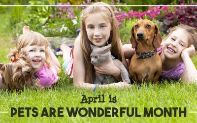 April is Pets Are Wonderful Month