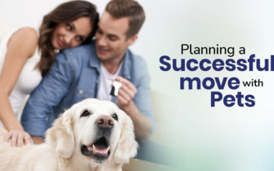 Planning a Successful Move with Pets by Car