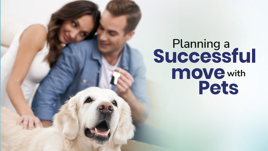 Planning a Successful Move with Pets by Car