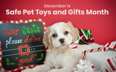 December is Safe Pet Toys and Gifts Month