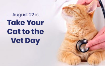 August 22 is National Take Your Cat to the Vet Day