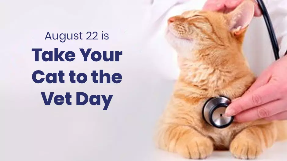 August 22 is National Take Your Cat to the Vet Day