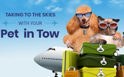 Taking to the Skies with Your Pet in Tow