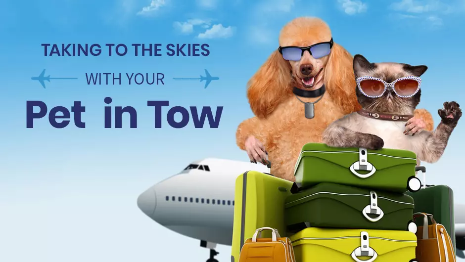 Taking to the Skies with Your Pet in Tow
