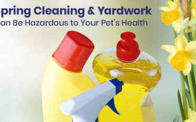 Spring Cleaning and Yardwork Can Be Hazardous to Your Pet’s Health