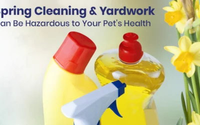 Spring Cleaning and Yardwork Can Be Hazardous to Your Pet’s Health