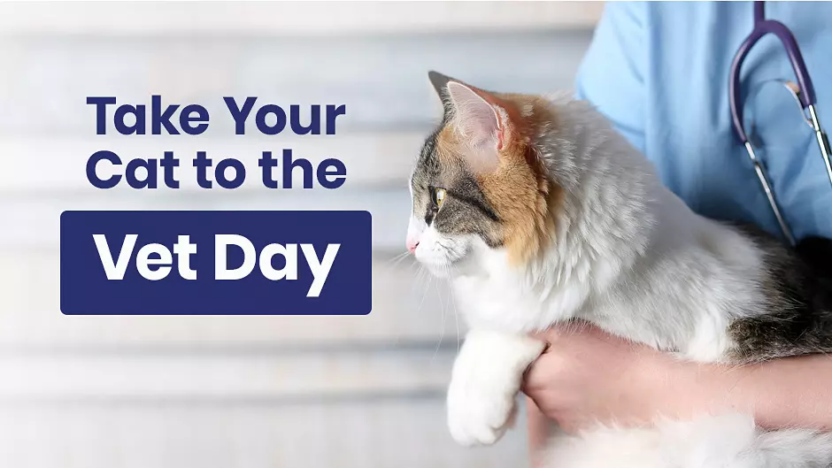 Take Your Cat to the Vet Day