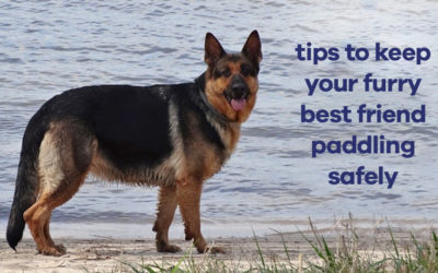 Tips to Keep Your Furry Best Friend Paddling Safely