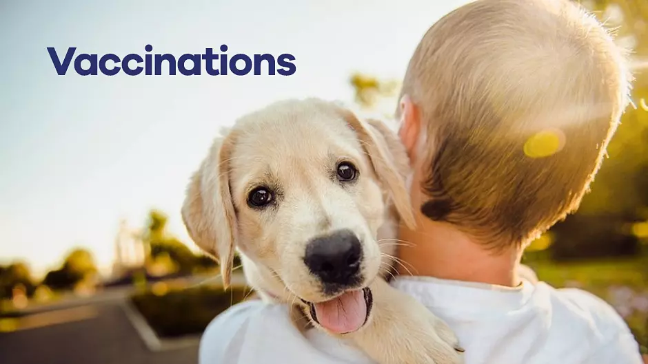 Vaccinations