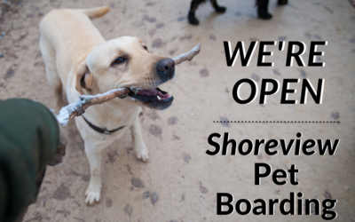 Shoreview Pet Boarding: We're Open