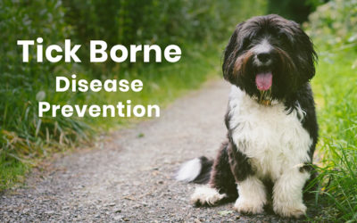 Tick Borne Disease Prevention