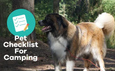 Pet Checklist For Camping