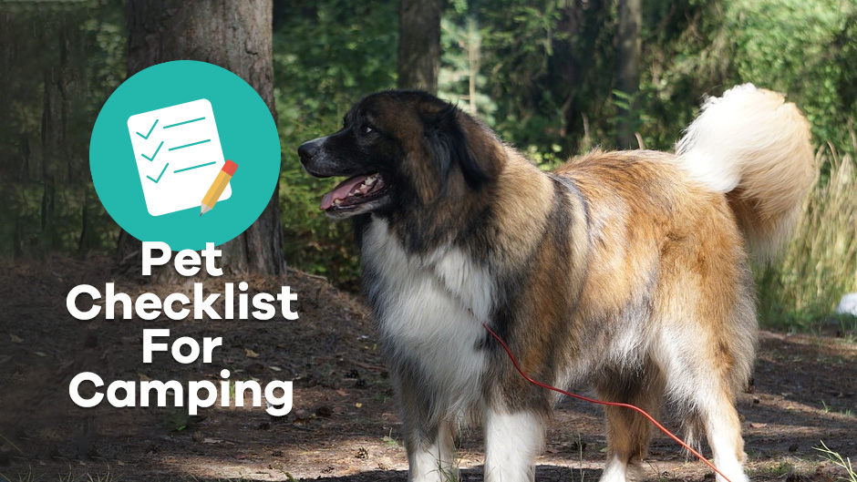 Pet Checklist For Camping
