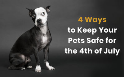 4 Ways to Keep Your Pets Safe for the 4th of July