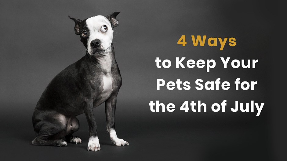4 Ways to Keep Your Pets Safe for the 4th of July