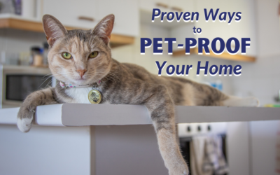 Proven Ways to Pet-Proof Your Home