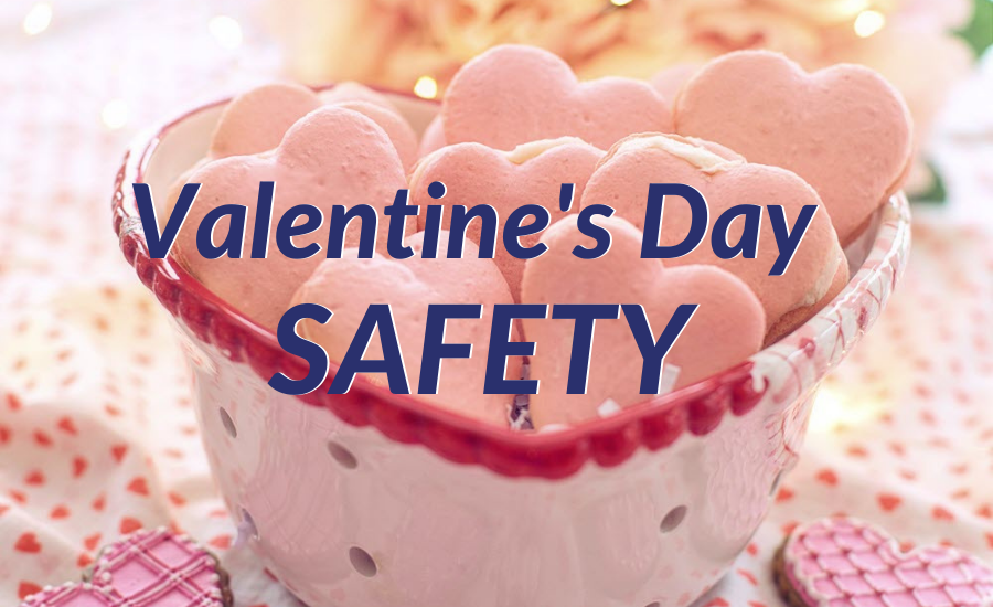 Valentine's Day Safety for Pets