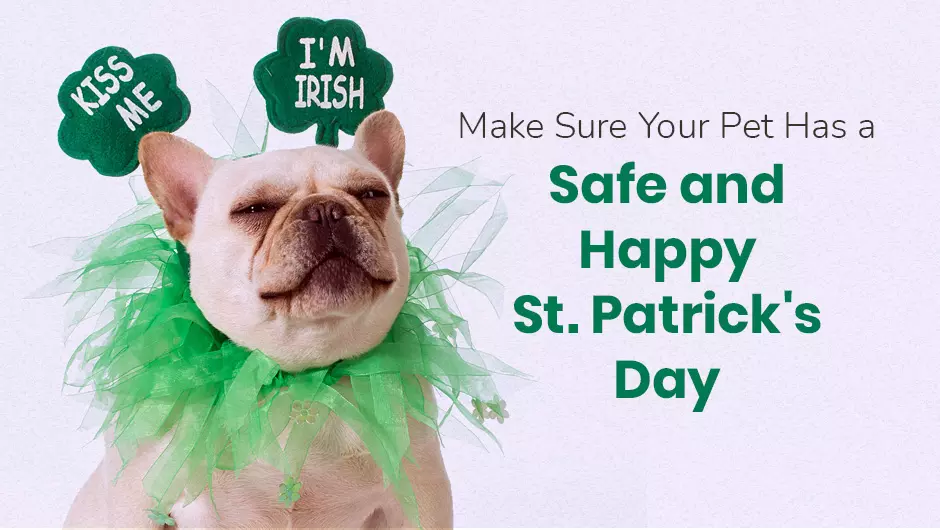 St. Patrick's Day