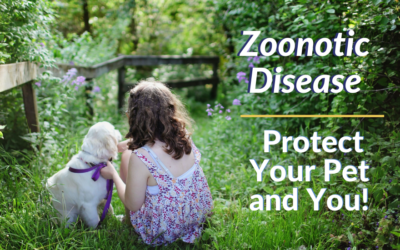 Zoonotic Disease – Protect Your Pet and You!