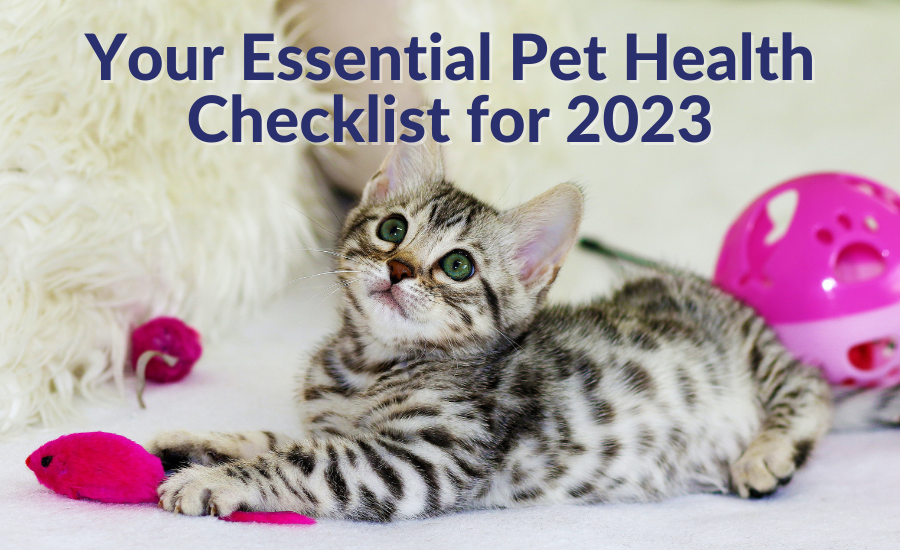 Your Essential Pet Health Checklist for 2023