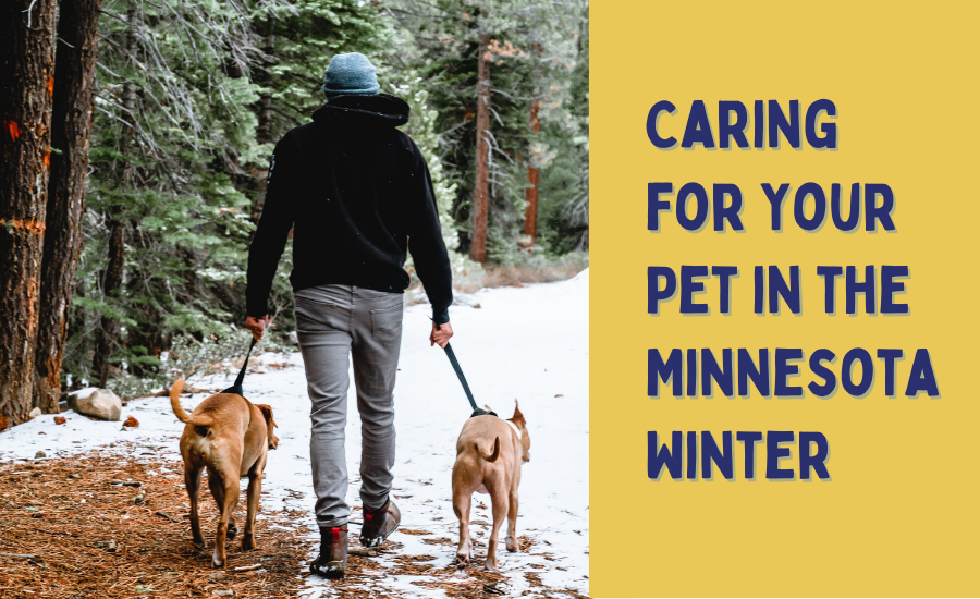 Caring for Your Pet in the Minnesota Winter