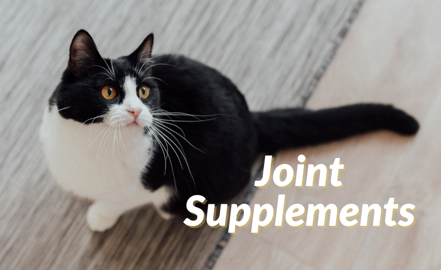 Joint Supplements