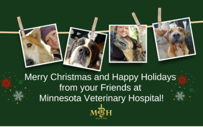 Merry Christmas and Happy Holidays from your Friends at Minnesota Veterinary Hospital!