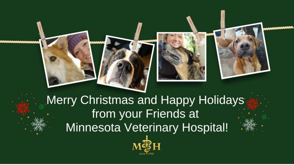 Merry Christmas and Happy Holidays from your Friends at Minnesota
